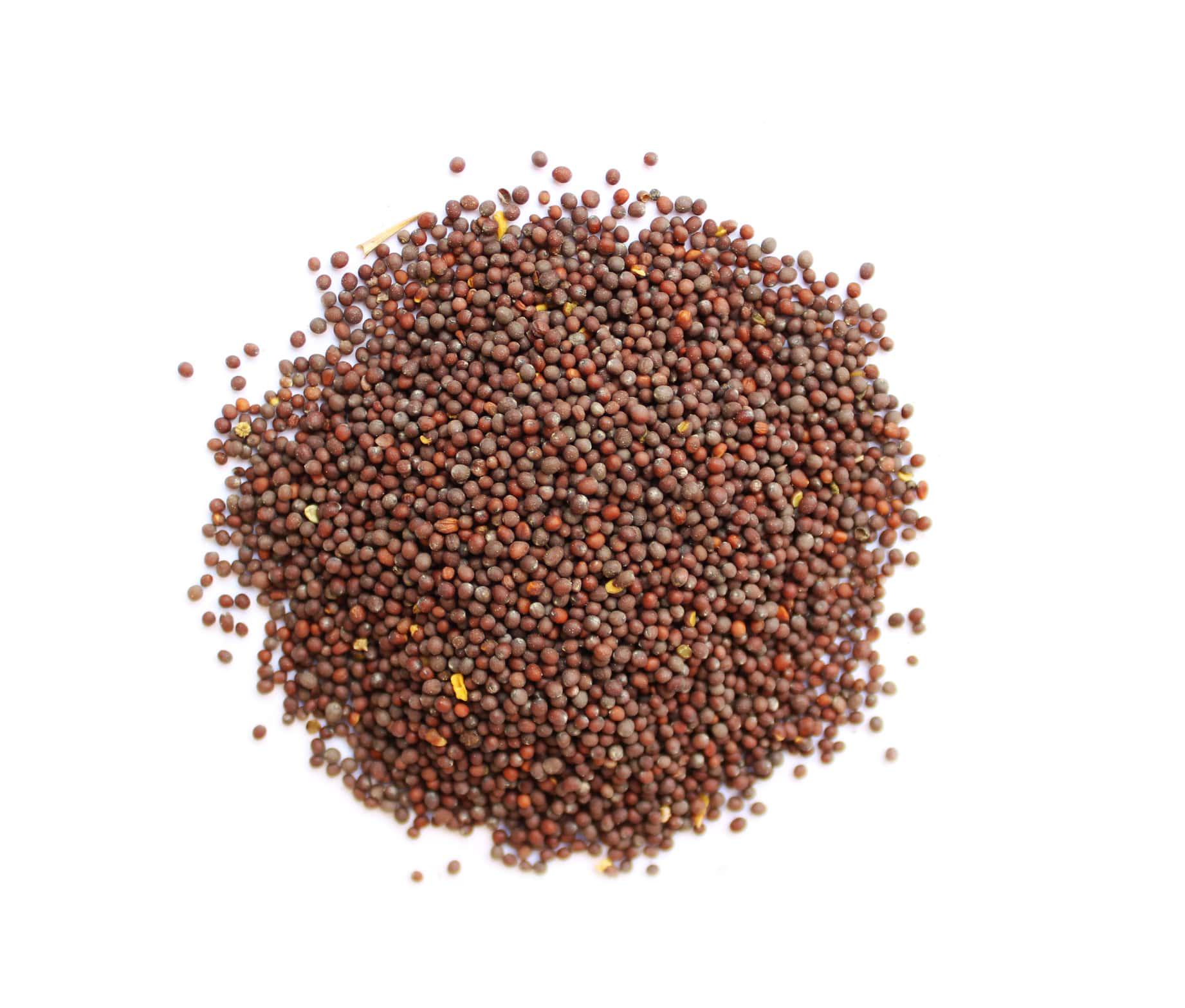 Приправа Горчица черная 500 г