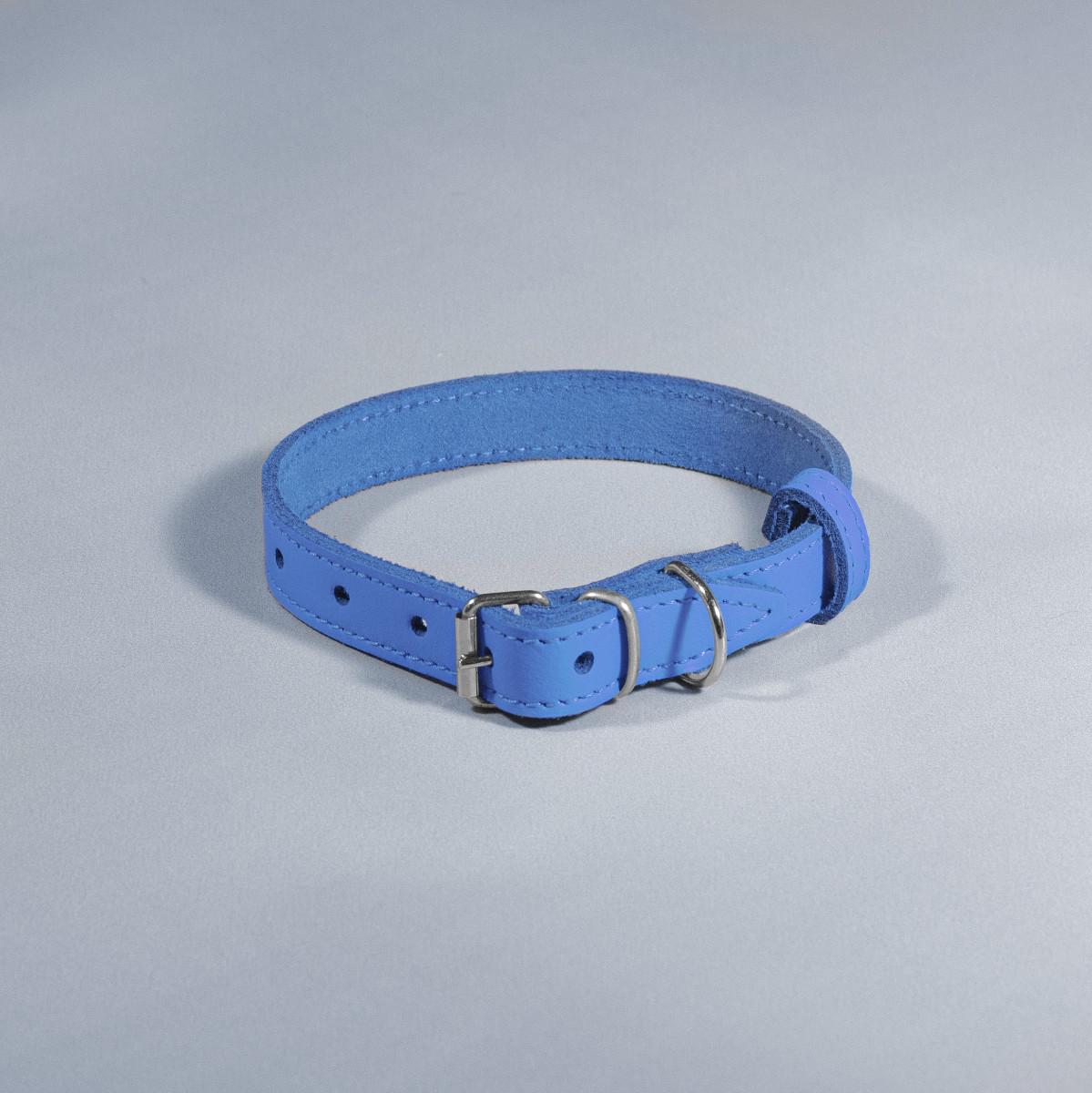 Нашийник для тварин шкіряний ВЕСНА 18 мм х 28-36 см Блакитний (2296447559) - фото 1 Нашийник для тварин шкіряний ВЕСНА 18 мм х 28-36 см Блакитний (2296447559) - фото 1