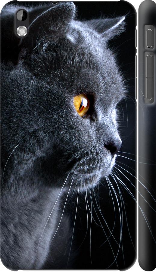 Чохол на HTC Desire 816 Гарний кіт (3038m-169-42517)