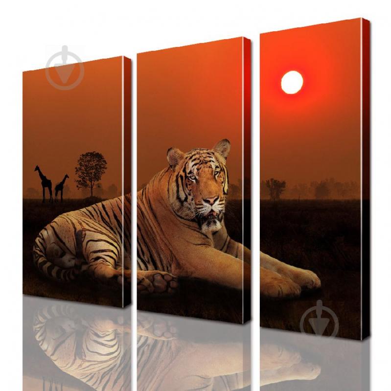Модульная картина Тигр ADJ0095 размер 95 х 120 см
