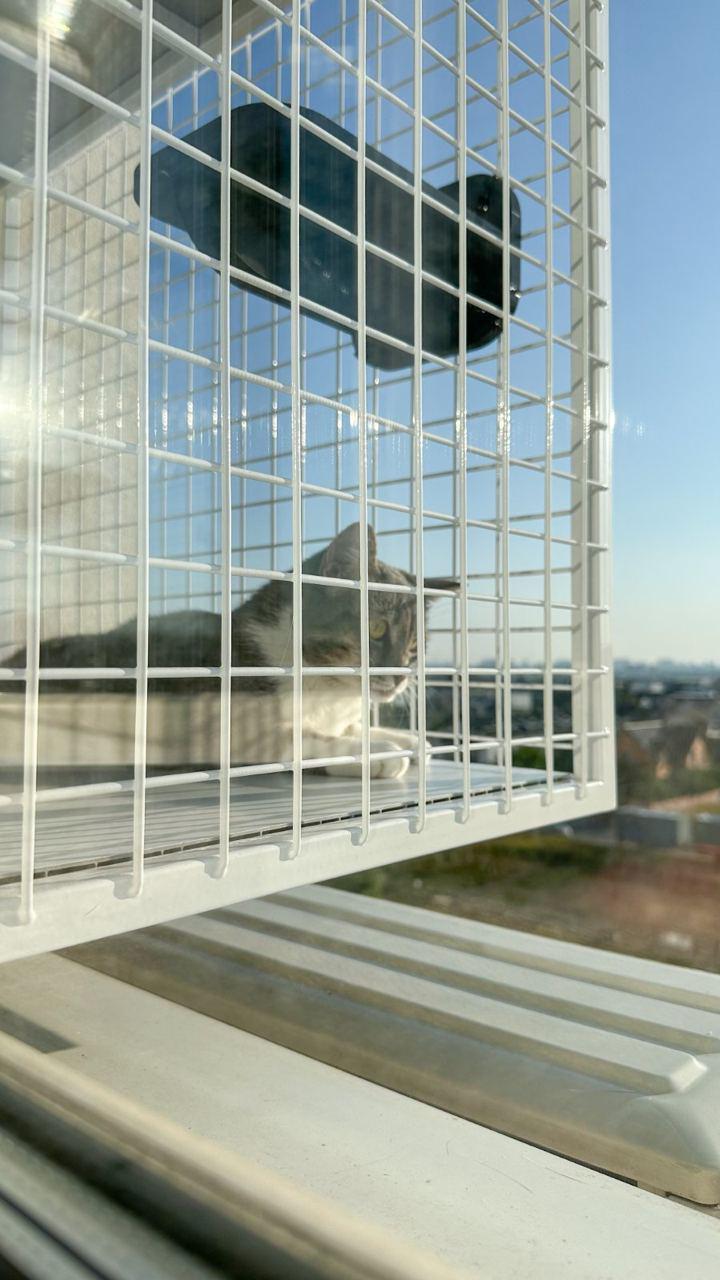 Балкон для котів підвісний прямокутний 540х420х640 см Білий (002) - фото 5 Балкон для котів підвісний прямокутний 540х420х640 см Білий (002) - фото 5