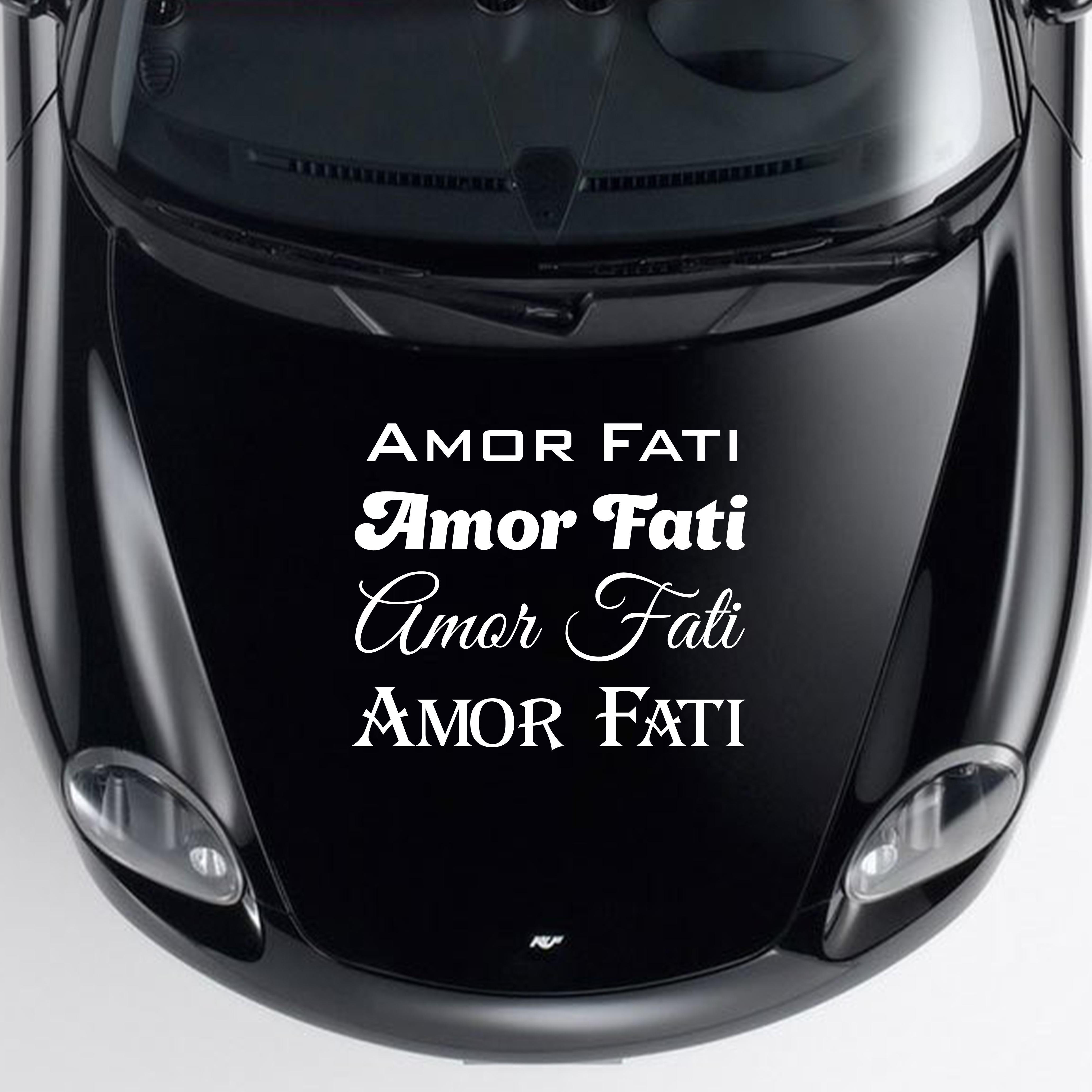 Наклейка на авто Oracal "Amor Fati" 40х6 см Білий (NA000-55-4)