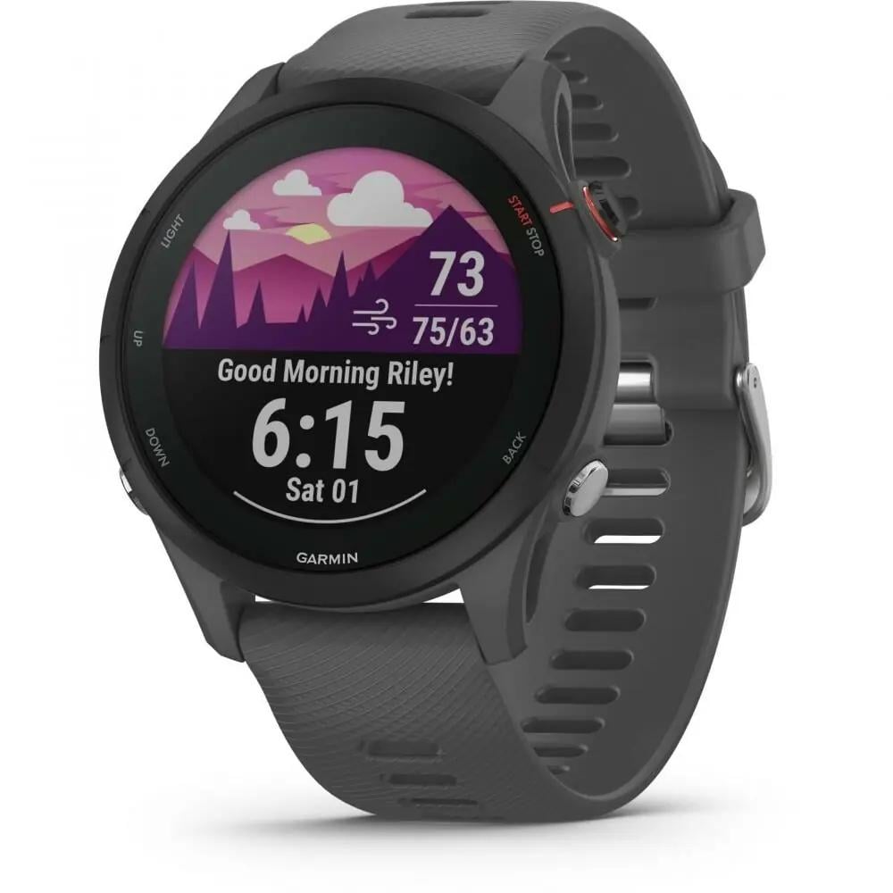 Смарт-годинник Garmin Forerunner 255 Slate Gray (010-02641-00/10/43)