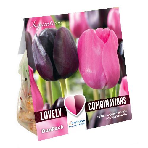 Комбо тюльпаны Florium Duopack Single Late Black And Pink брендовые луковицы Kapiteyn (15246)