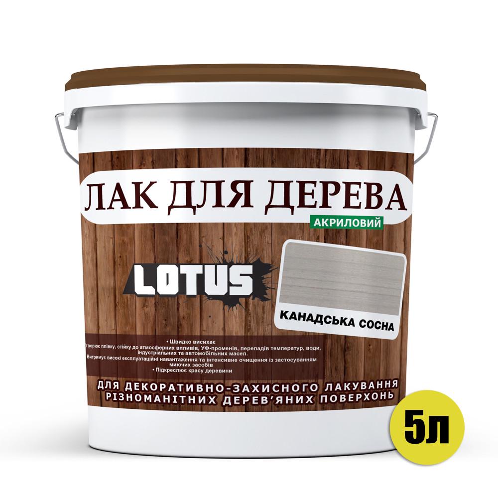 Лак для дерева Lotus Глянец 5 л Канадская сосна (2180786486) - фото 2