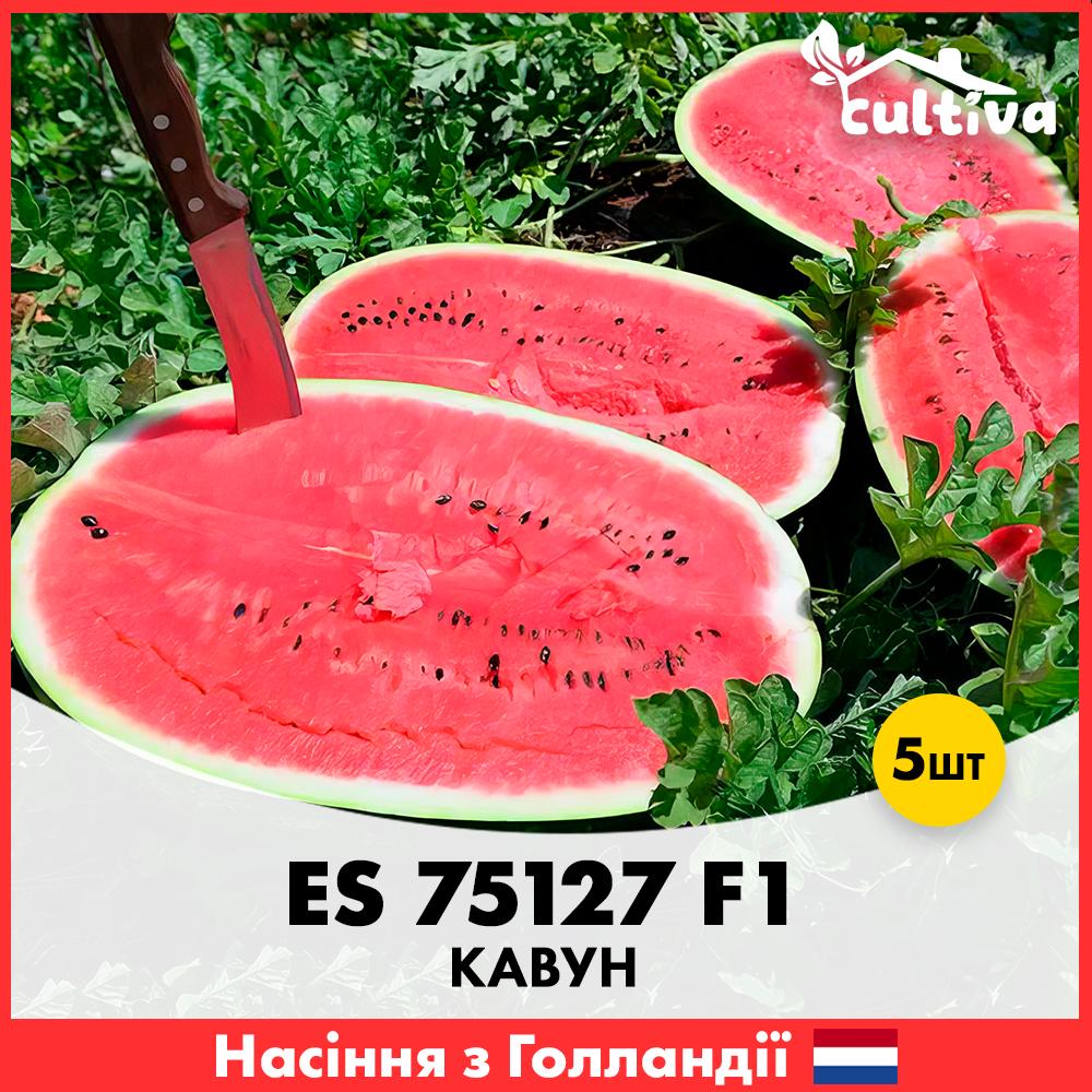 Насіння кавуну Ergon Seed ES 75127 F1 5 шт. (R51119)