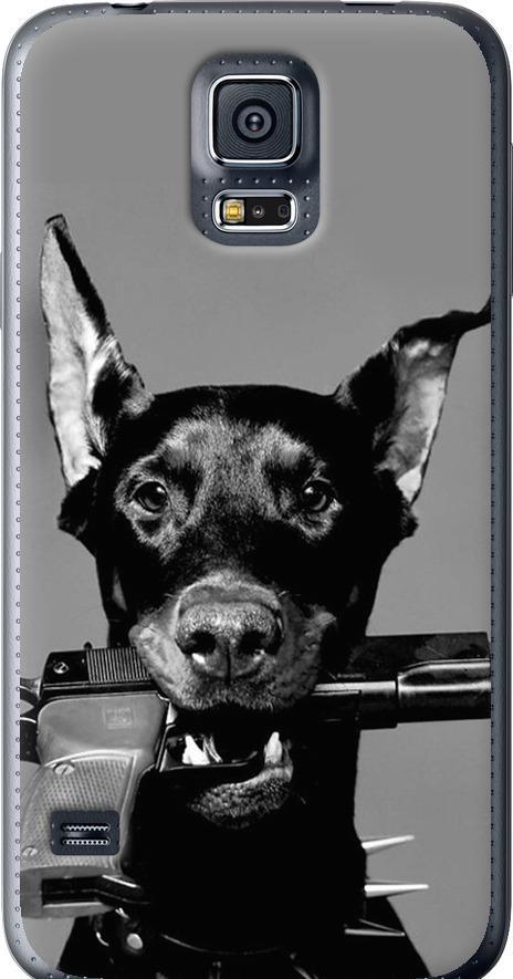 Чехол на Samsung Galaxy S5 Duos SM G900FD Доберман (2745t-62-42517) Чехол на Samsung Galaxy S5 Duos SM G900FD Доберман (2745t-62-42517)