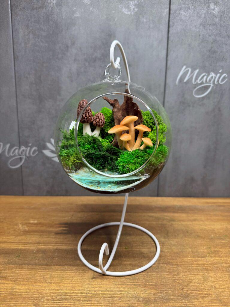 Флораріум з мохом на підставці 15х23 см