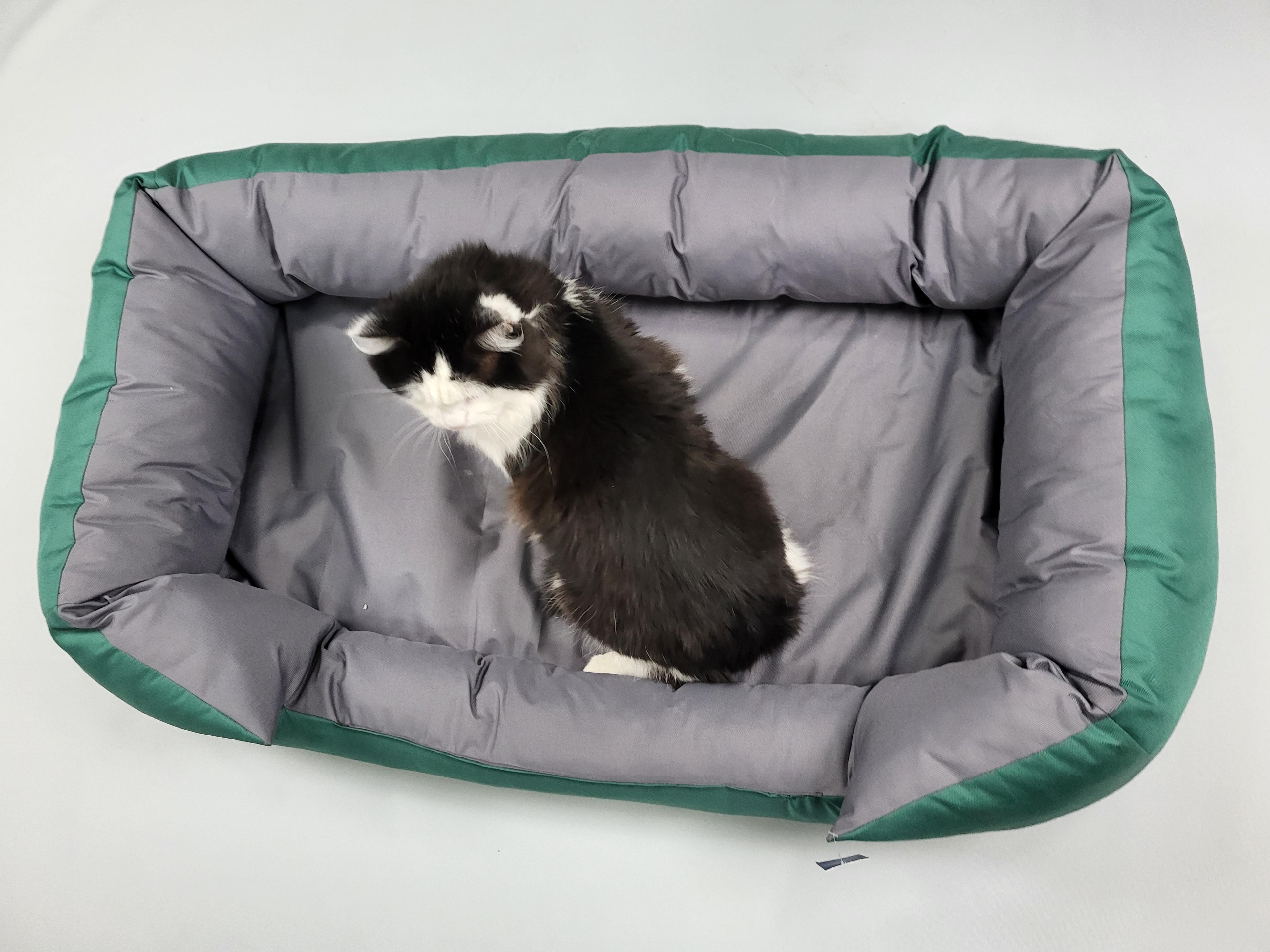 Лежанка для собак двусторонняя 100х60 см Серо-зеленый (1472) - фото 3 Лежанка для собак двусторонняя 100х60 см Серо-зеленый (1472) - фото 3