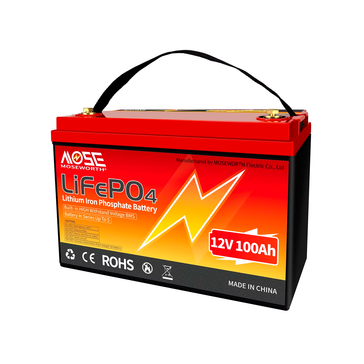 Аккумулятор MOSEWORTH LiFePO4 12V 100 Aч (2381442854)