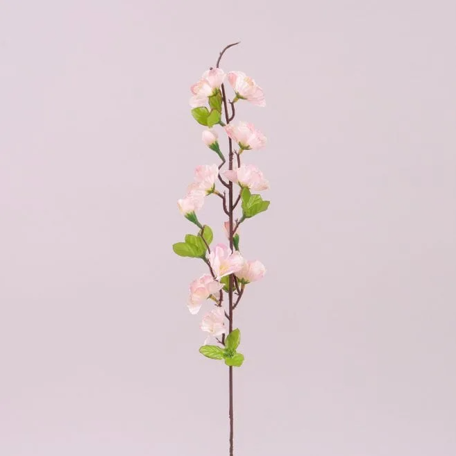 Цвет Яблони Flora Бело-розовый 12 шт. (72268)