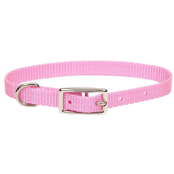 Ошейник для собак Coastal Nylon Web 1х30 см Ярко-розовый