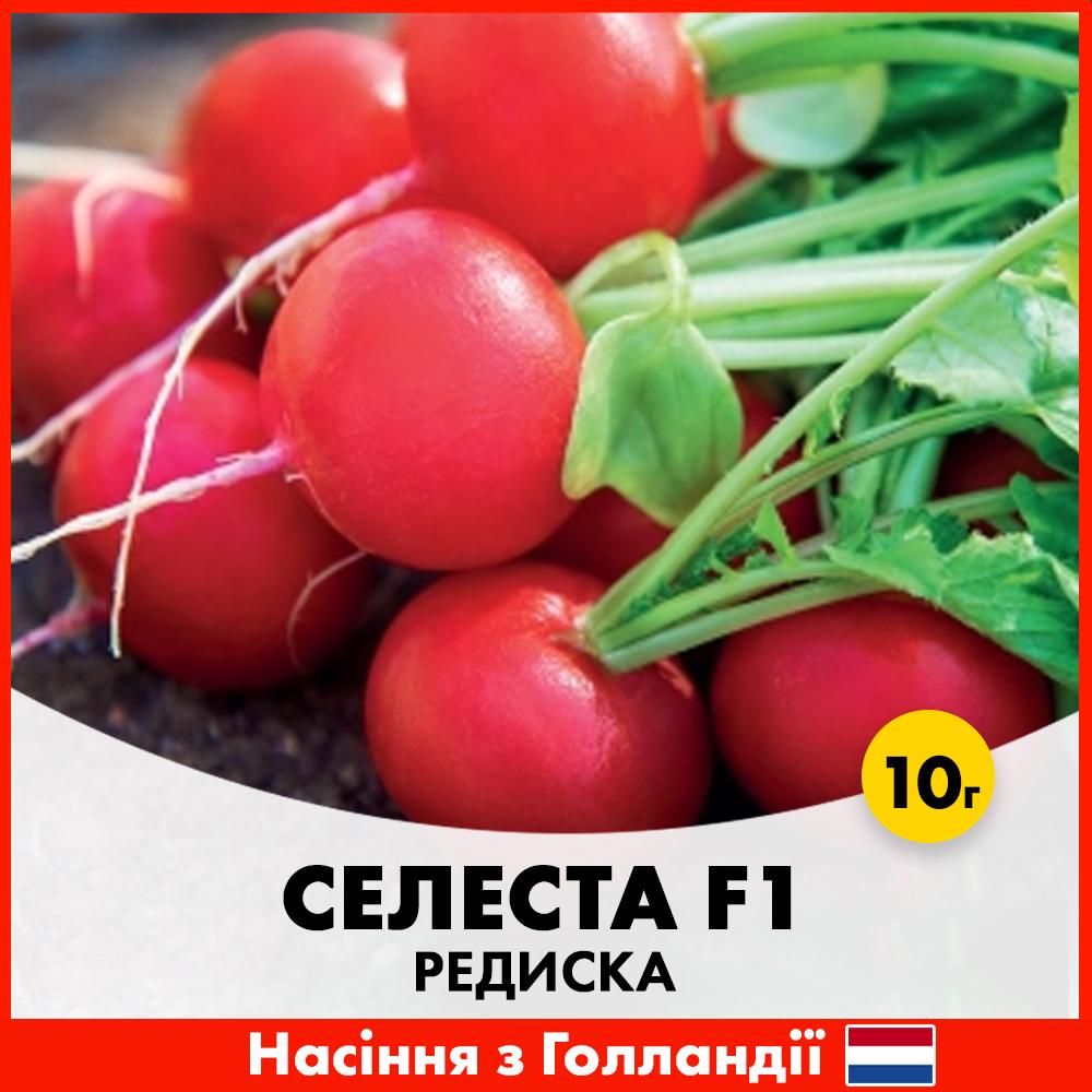 Семена редиса Enza Zaden Селеста F1 10 г (R29035)