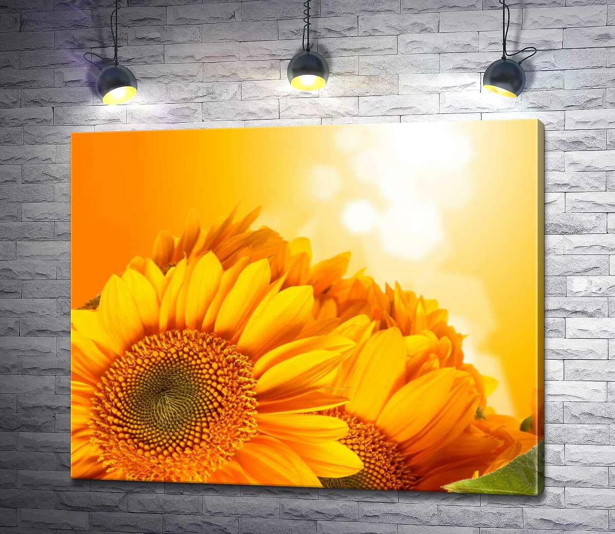 Картина ArtPoster Медово-желтые головки подсолнечников 130x106 см Модуль №1 (000252)