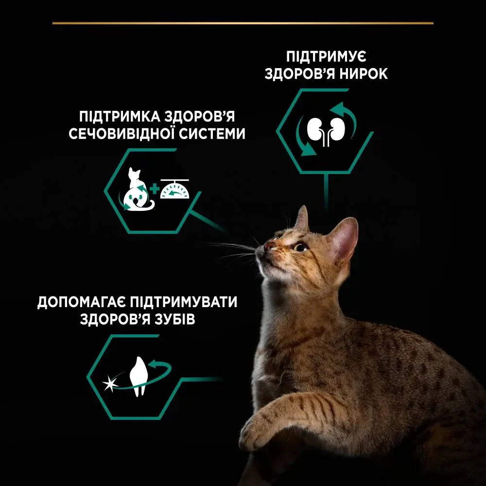 Сухий корм Pro Plan Sterilised 1+ Renal Plus з індичкою 14 кг (7613287887702) - фото 6 Сухий корм Pro Plan Sterilised 1+ Renal Plus з індичкою 14 кг (7613287887702) - фото 6