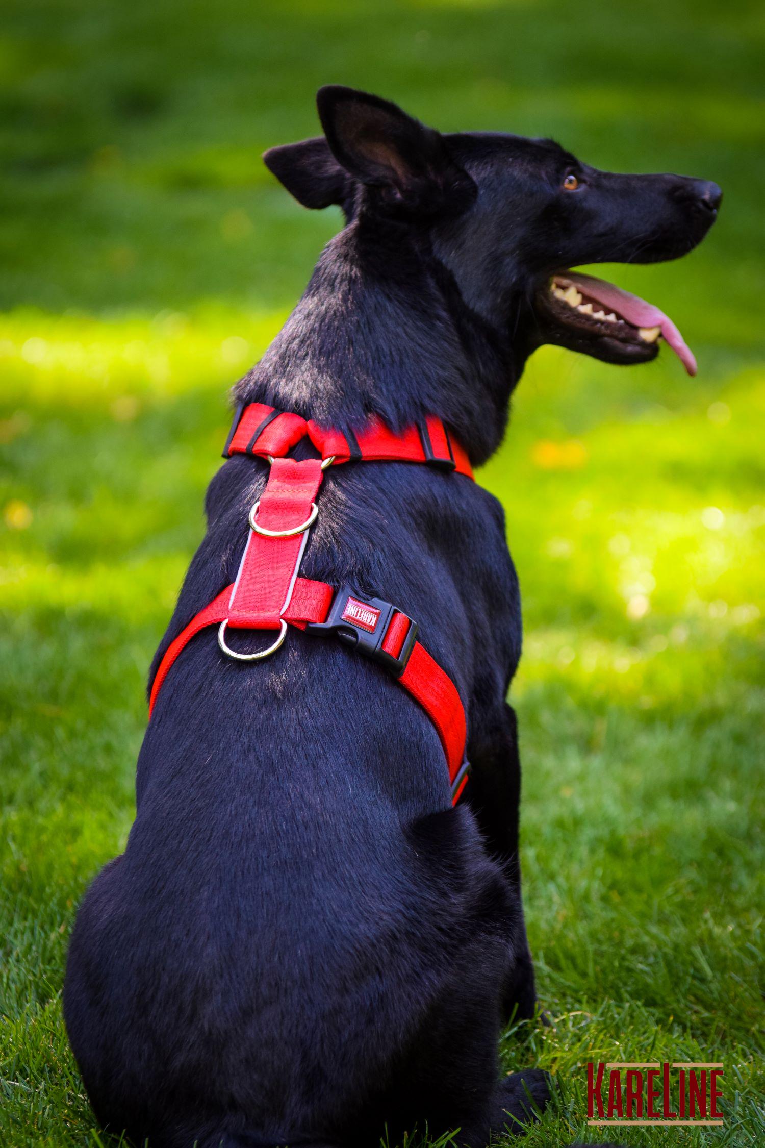 Шлея анатомічна KareLine з нейлону зі світловідбиваючими елементами 25 мм А:340-540 мм В:470-690 мм Червоний (0976/6) - фото 3 Шлея анатомічна KareLine з нейлону зі світловідбиваючими елементами 25 мм А:340-540 мм В:470-690 мм Червоний (0976/6) - фото 3