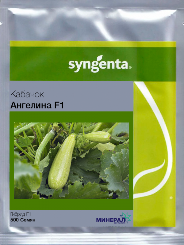 Насіння кабачків Ангеліна Syngenta 20 шт. (1746426972) - фото 2