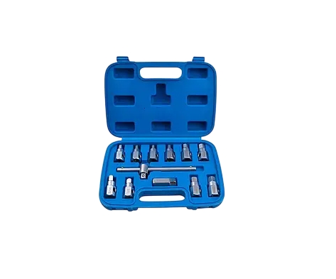 Набор ключей к масляным пробкам 3/8" 12 пр. (QS60500)