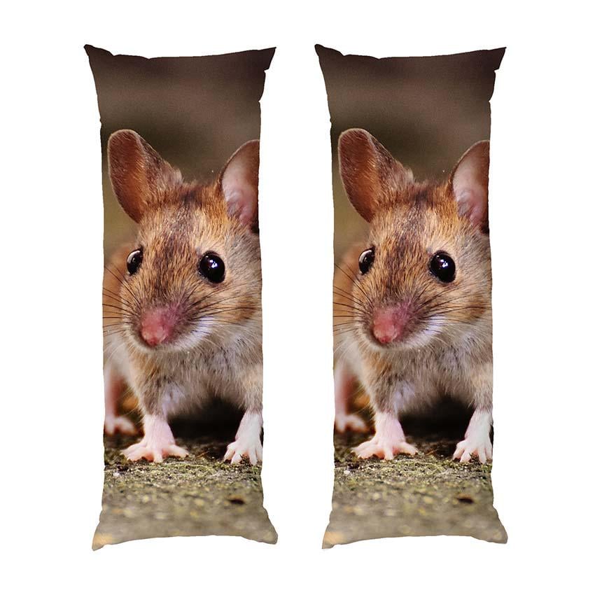Подушка дакимакура Little mouse габардин 120х40 см (113574-1)