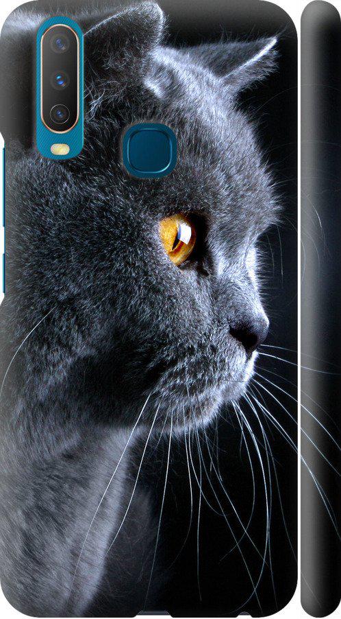 Чехол на Vivo Y15 Красивый кот (3038m-1791-42517)
