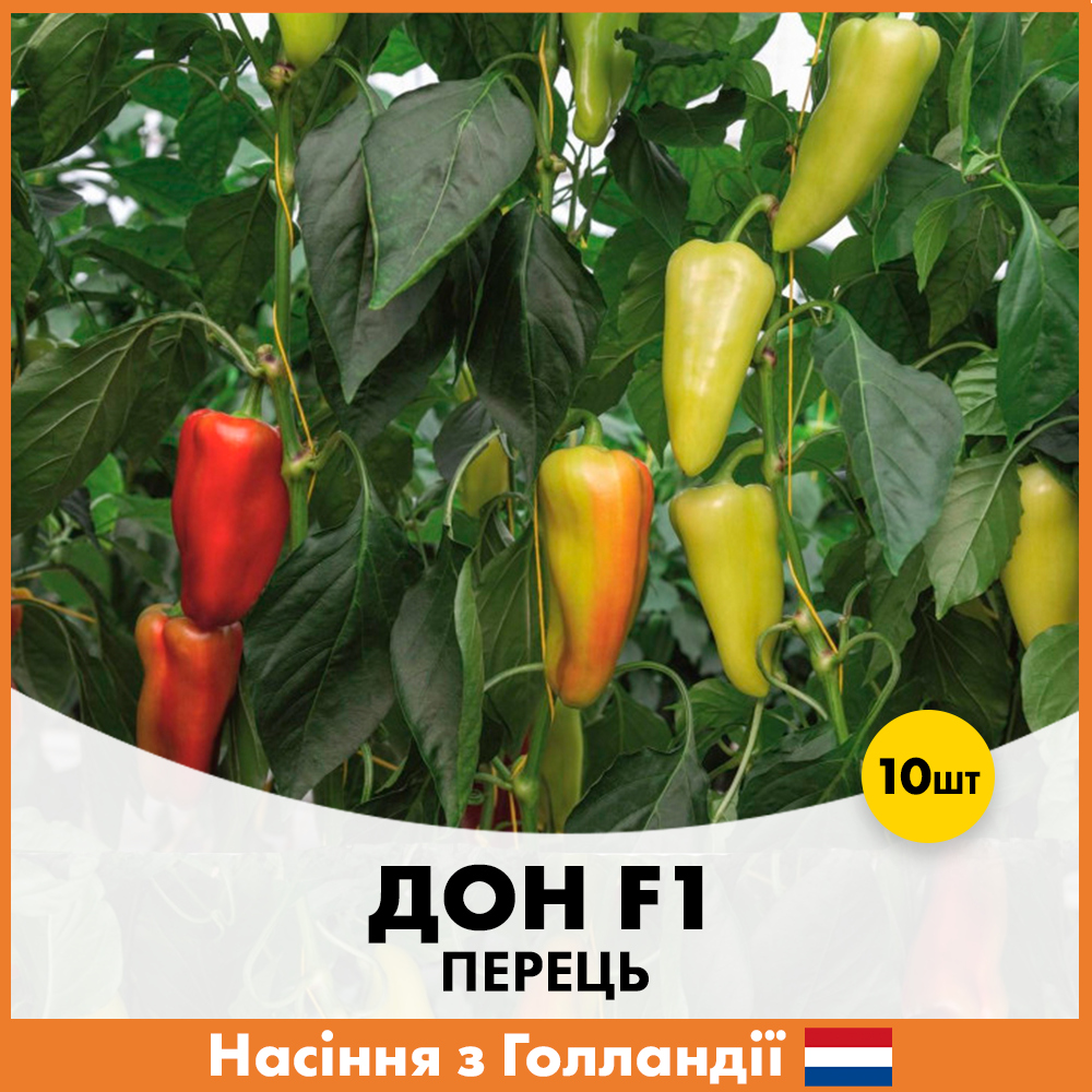 Семена перца Bejo Дон F1 10 шт. (R50199)