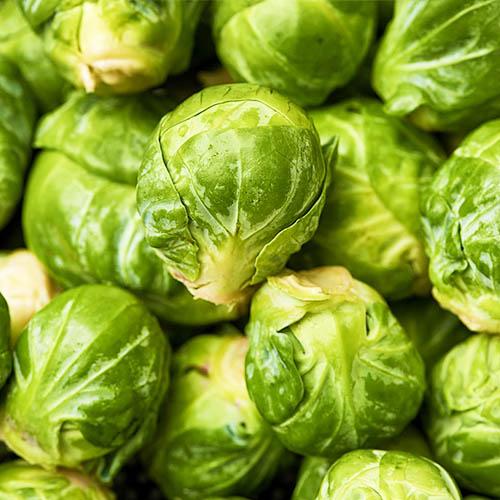 Насіння Капуста Florium Брюссельська Даркмар 21 (17566)