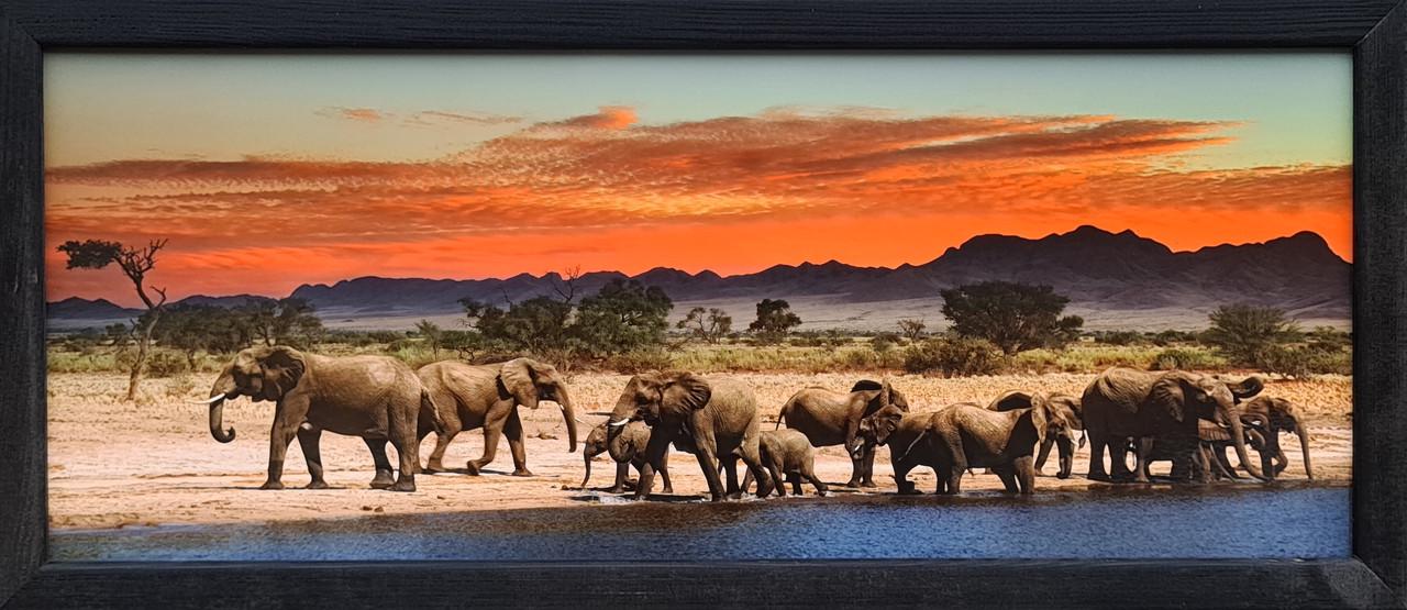 Фотокартина в деревянной раме Elephants 2 20х50 см (POS-2050-141)