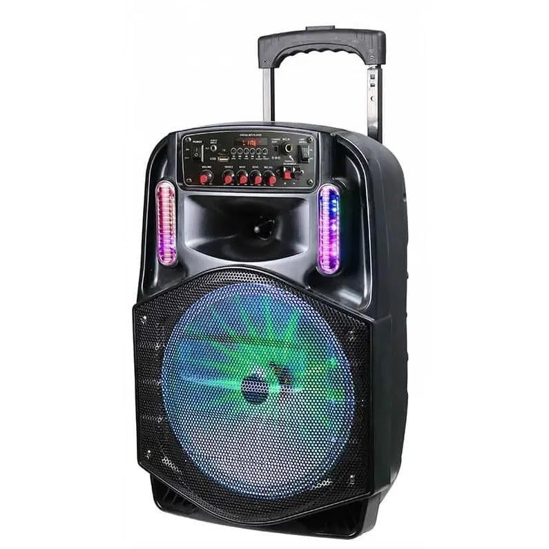 Портативная акустическая система Winso CH8612 и микрофон 12" 30 W (c31ff316)