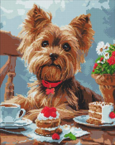 Алмазная мозаика Ideyka Чайка йорка 40x50 см (Id-AMO8042)