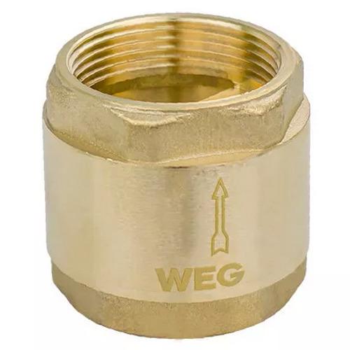 Клапан обратный для воды WEG SQ-1038481 пружинный 2" (154464)