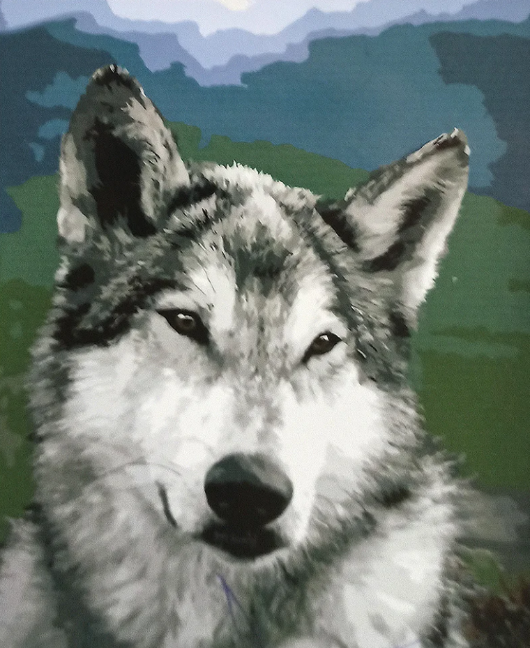 Картина по номерам Strateg Взгляд пушистого 40x50 см (GS020)