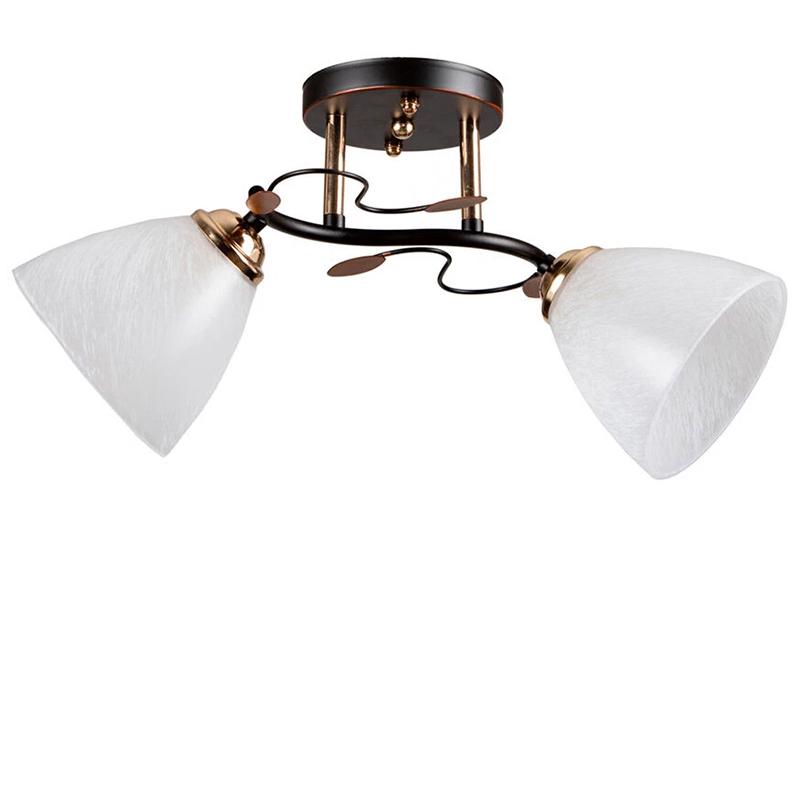 Люстра потолочная Light House SC-16035/2A BK+FG на две лампы Черный