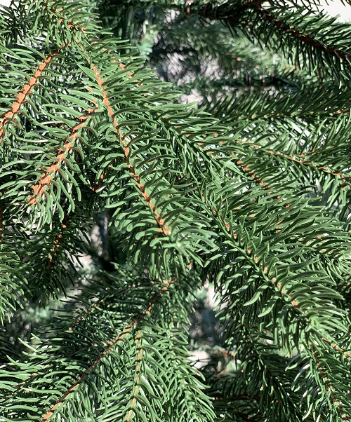 Елка искусственная Green Yard Коваливская 2,3 м Зеленый - фото 2 Елка искусственная Green Yard Коваливская 2,3 м Зеленый - фото 2