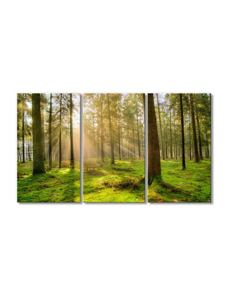 Картина модульная Солнечный луч деревья в лесу 3 модуля 60x90 см