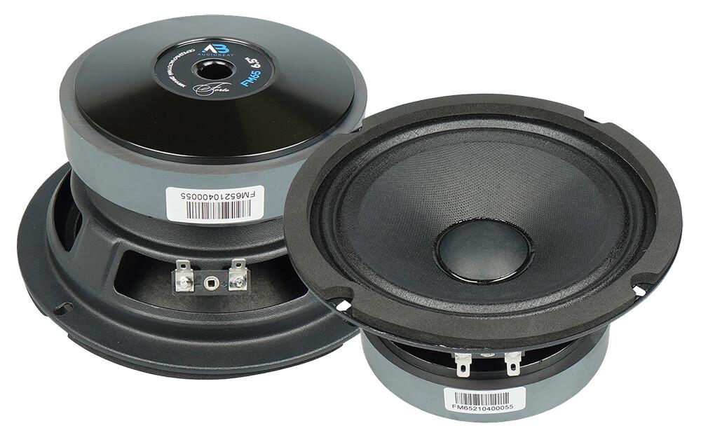 Естрадна акустика AudioBeat Forte FM65