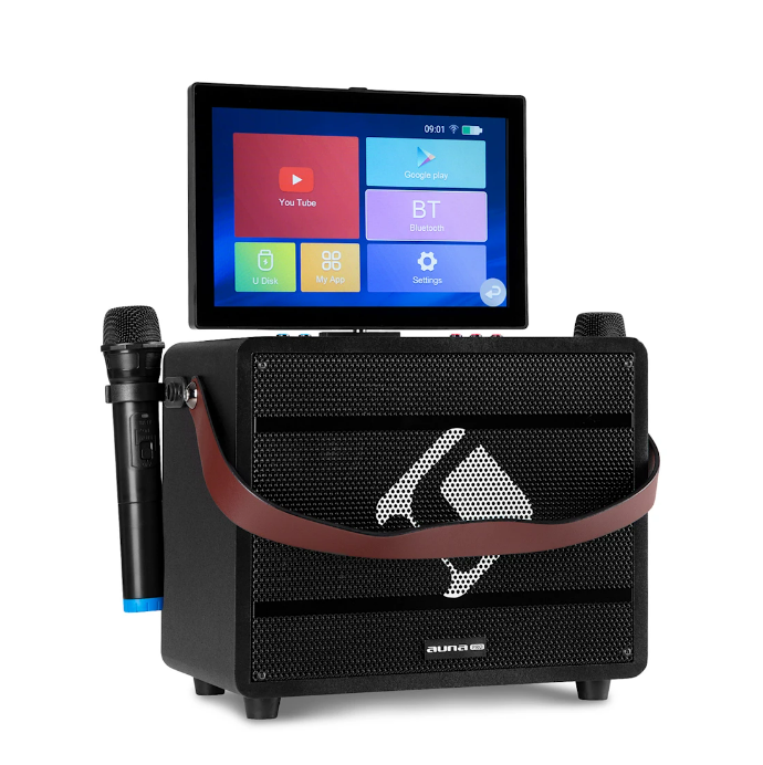 Караоке-система Pro Spin 8 12,1" 2 микрофона Wi-Fi/BT/USB/TF/HDMI (10040306)