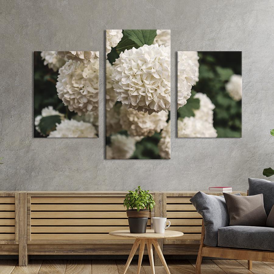 Картина на холсте триптих Пышная белая гортензия 96x60 см (956-32)