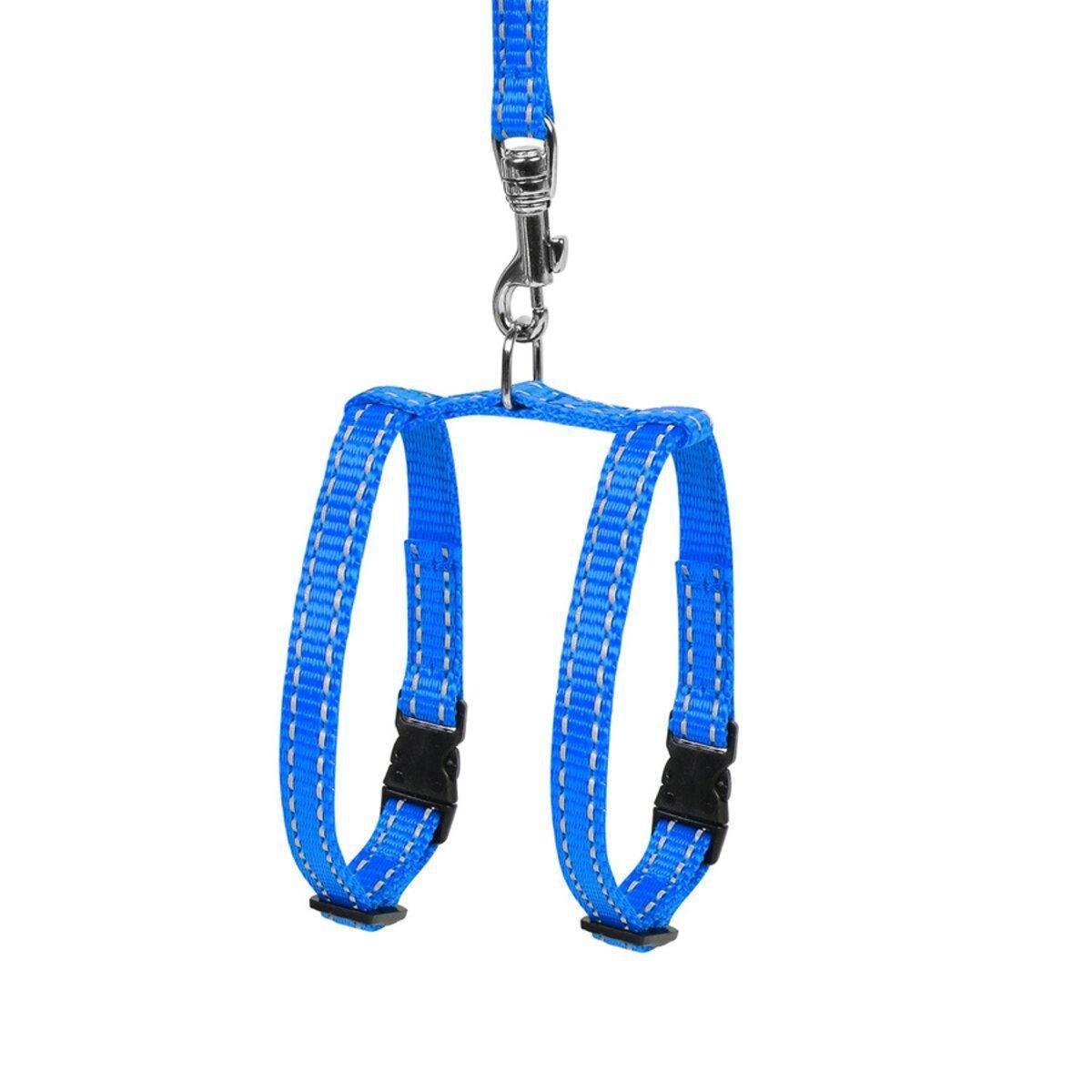 Шлея регульована з повідцем Dog Extreme для морських свинок/декоративних щурів з нейлону 10 мм х 12-22 см Блакитний (07012 Col) Шлея регульована з повідцем Dog Extreme для морських свинок/декоративних щурів з нейлону 10 мм х 12-22 см Блакитний (07012 Col)