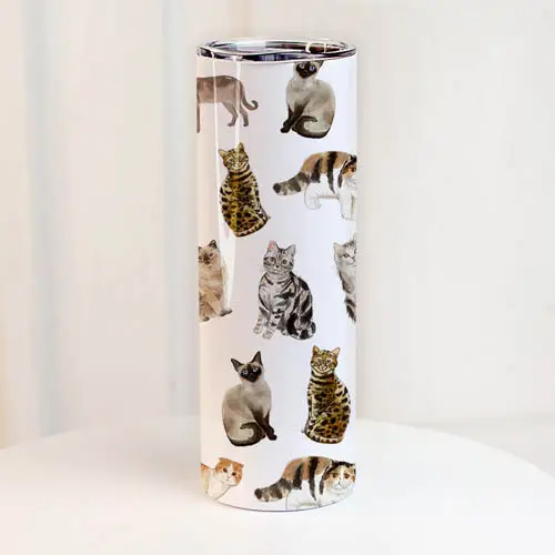 Термочашка Котики 650 мл (8-6-5026199)