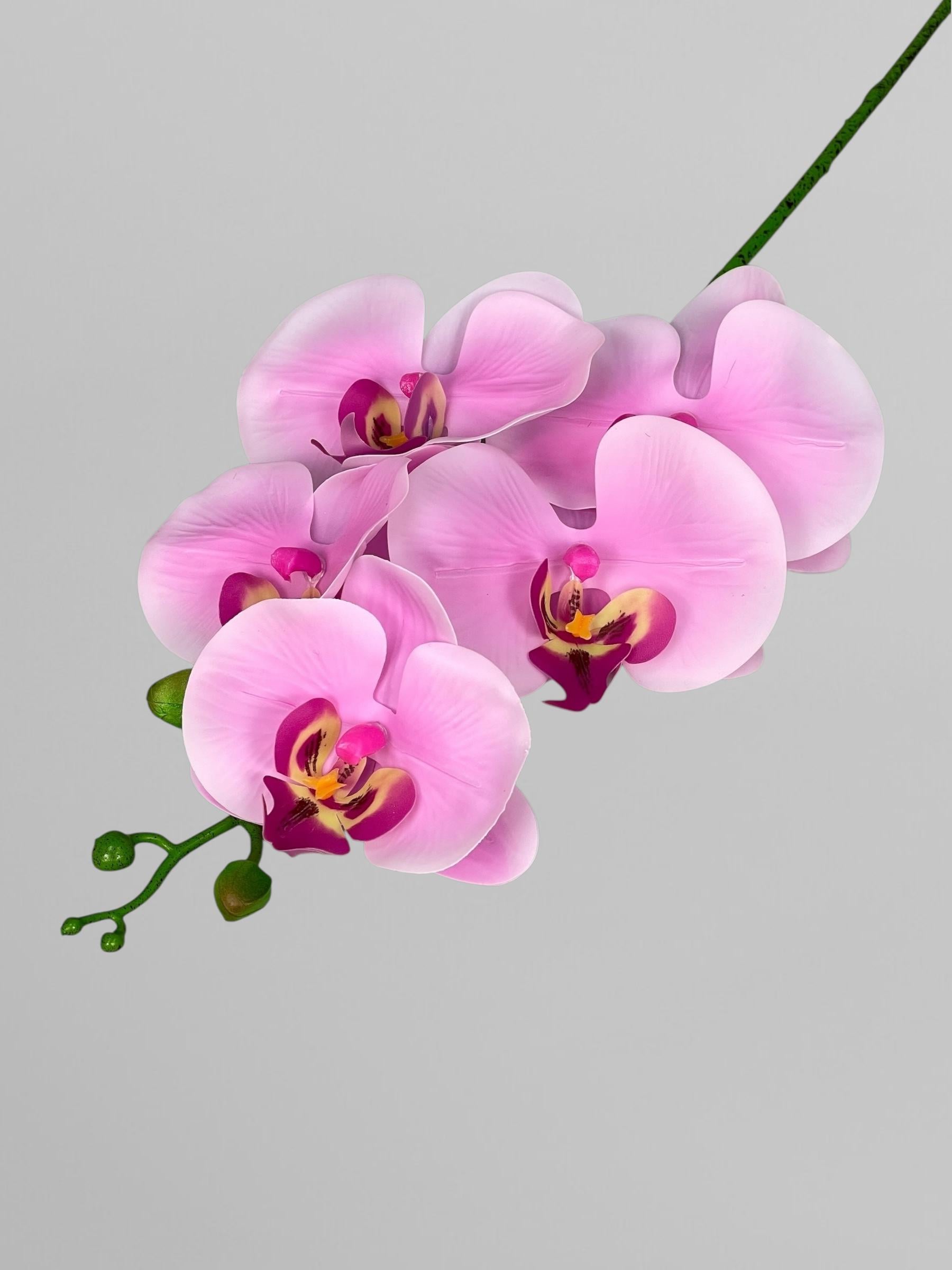 Искусственная орхидея Фаленопсис на 5 соцветий 70 см Нежно-розовый (К01186)