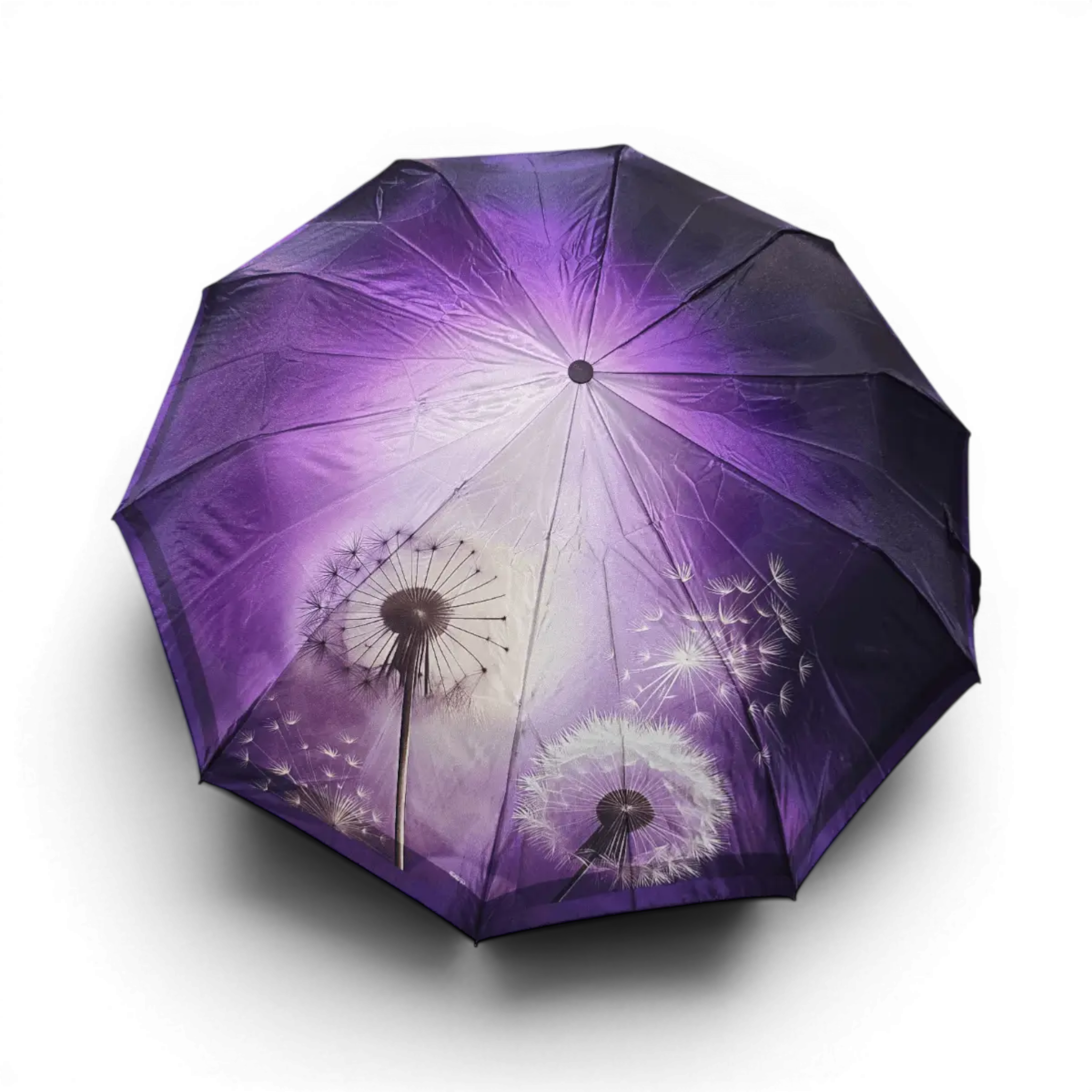 Женский зонт-автомат Elephants Dandelion 34046 Purple на 10 спиц
