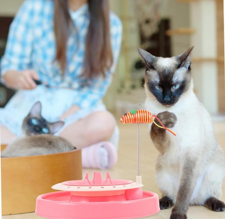 Іграшка для кішок на пружині Cat Scratch Pen трек 2 Рожевий кульки (2104618638) - фото 9 Іграшка для кішок на пружині Cat Scratch Pen трек 2 Рожевий кульки (2104618638) - фото 9