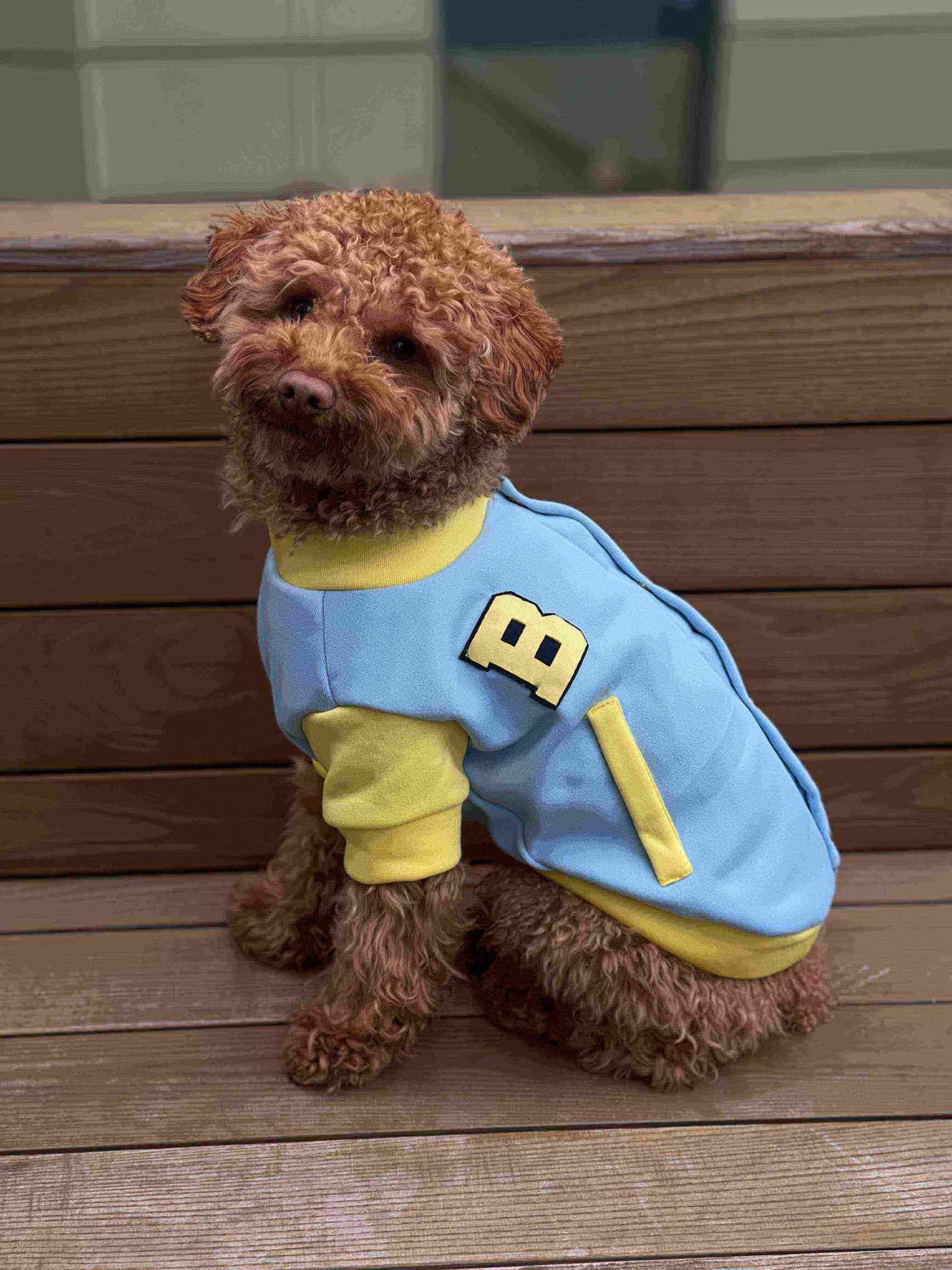 Бомбер для собак Dogs Bomba Y-269 р. 6 Желто-голубой (70579460)