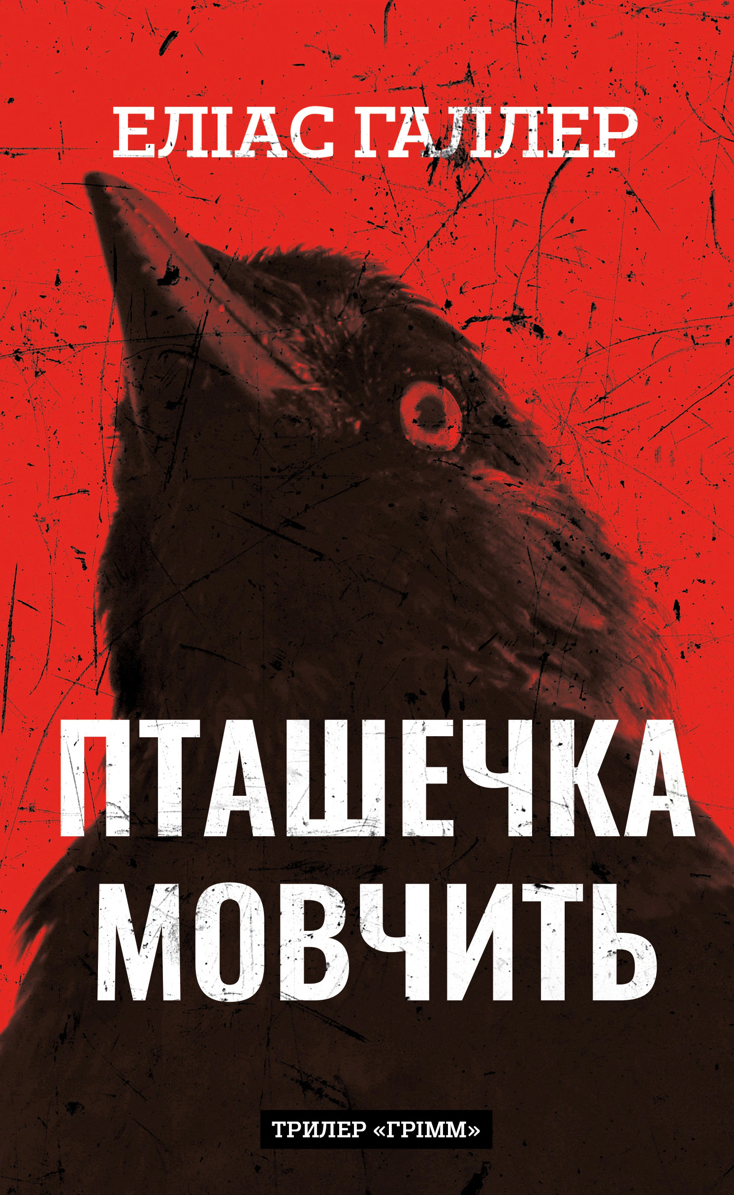 Книга «Грімм. Пташечка мовчить. Книга 2» Еліас Галлер 9786175484432