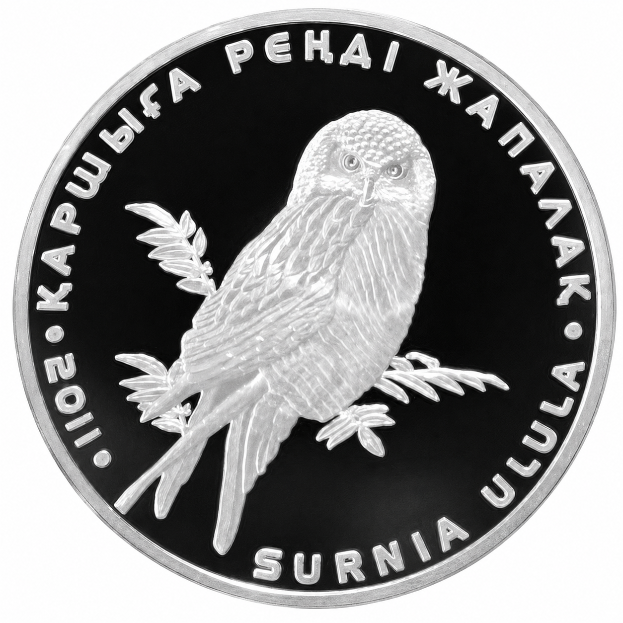 Колекційна монета Казахстан 500 тенге 2011 Сова Срібло Proof (KM#205)