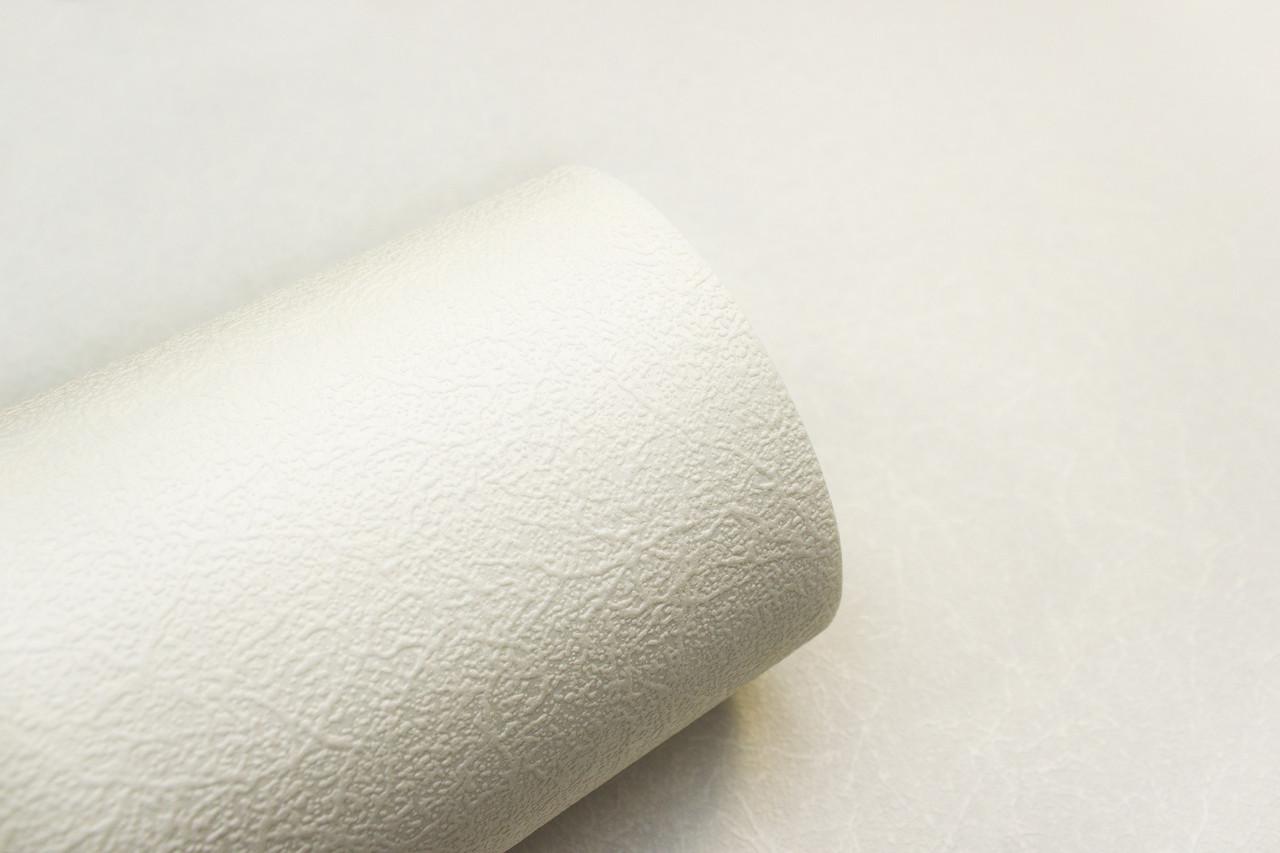 Шпалери універсальні LS 25x1,06 м Білий (ПРО 3) - фото 7 Шпалери універсальні LS 25x1,06 м Білий (ПРО 3) - фото 7