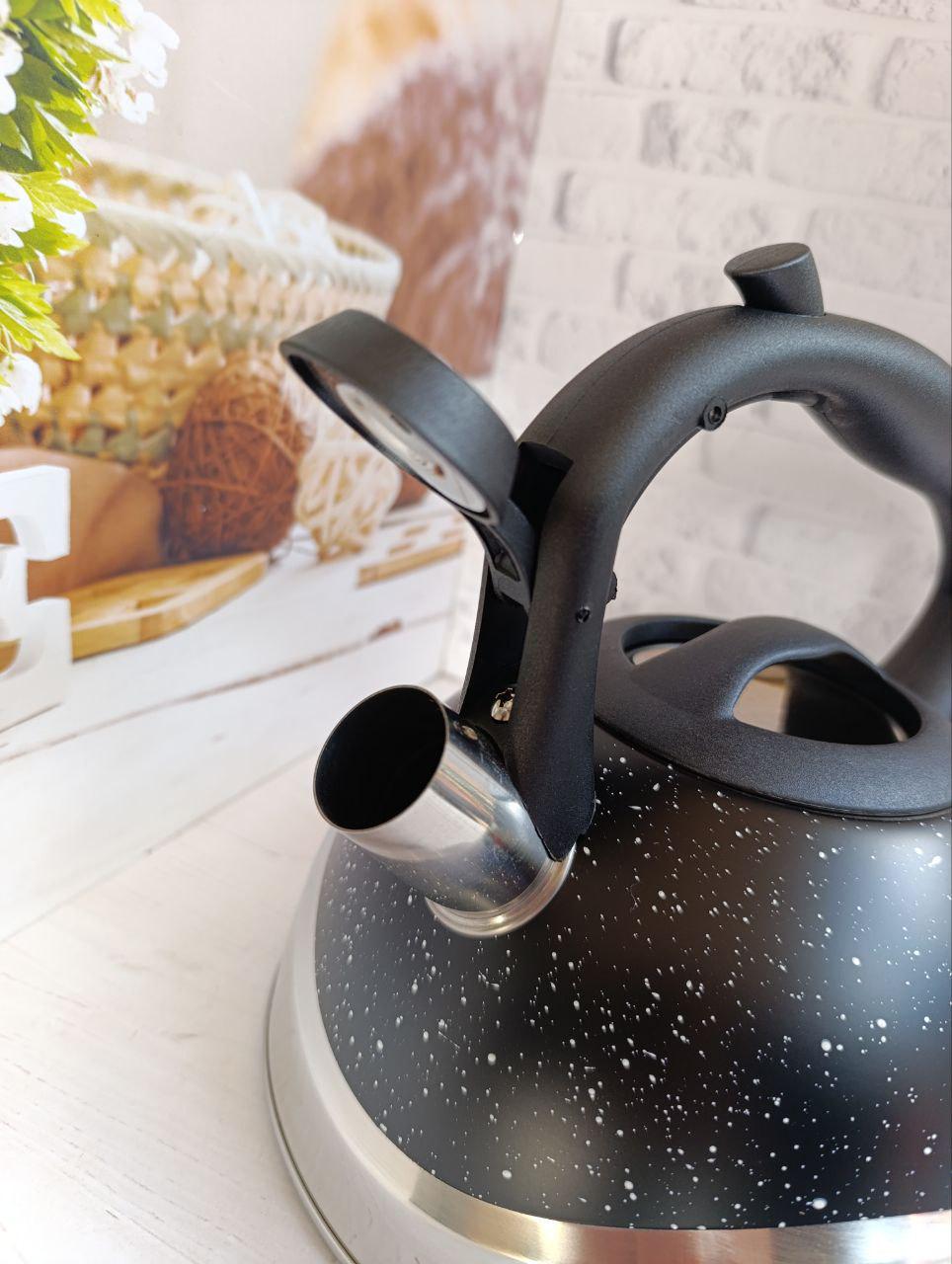 Чайник со свиском Styleberg WK-1385A из нержавеющей стали 3 л Черный (30078185) - фото 3 Чайник со свиском Styleberg WK-1385A из нержавеющей стали 3 л Черный (30078185) - фото 3