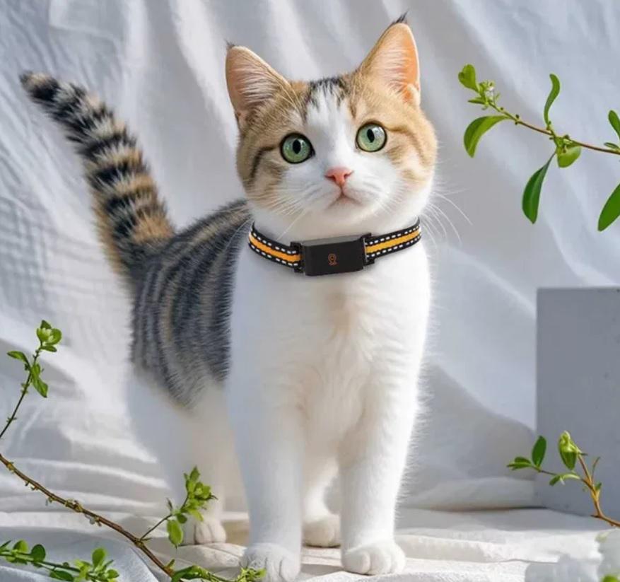 Ошейник для собак и кошек LT С09 GPS водонепроницаемый/Sim-карта Оrange - фото 10 Ошейник для собак и кошек LT С09 GPS водонепроницаемый/Sim-карта Оrange - фото 10