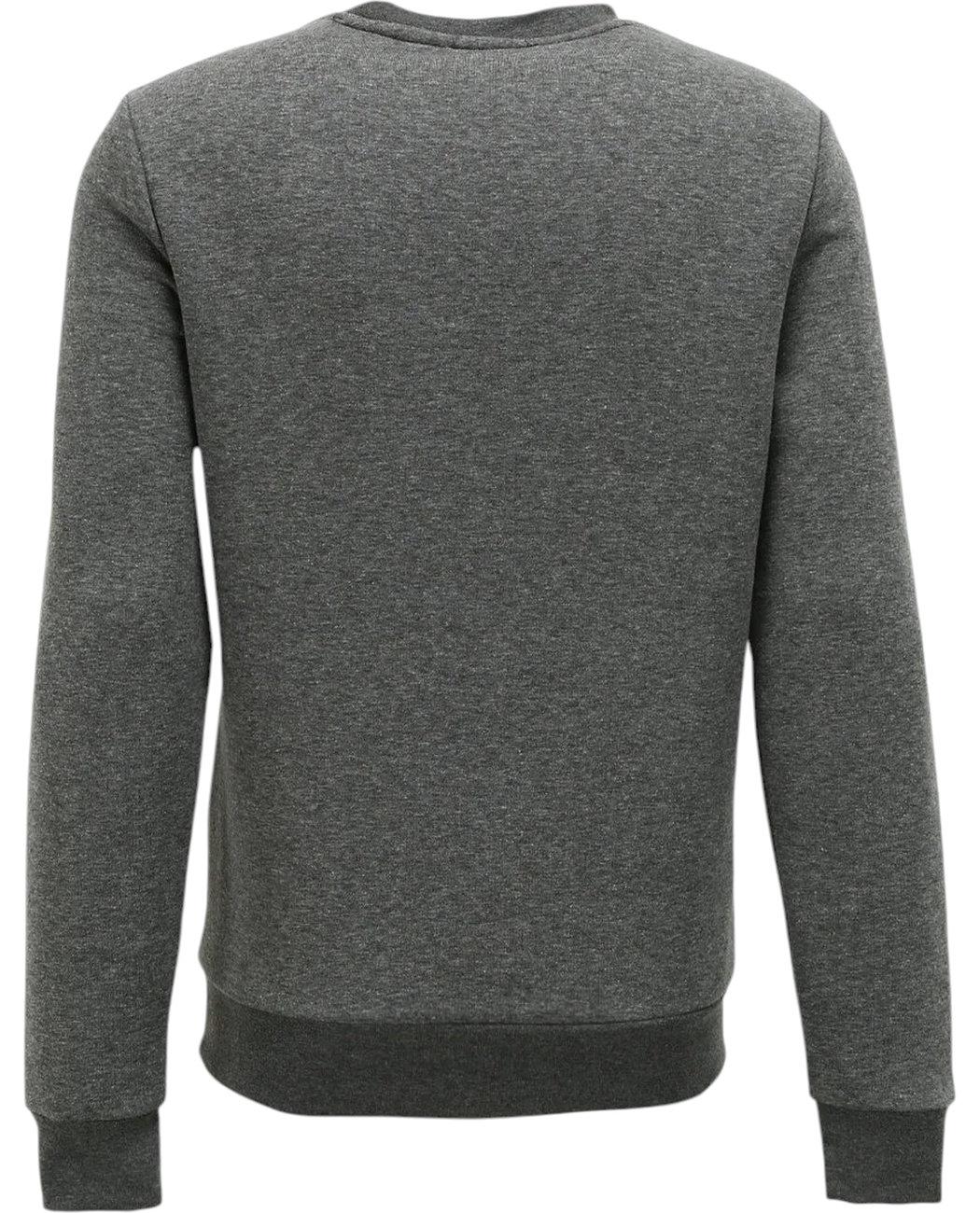 Світшот чоловічий Lee Cooper Kai 241LCM241010.7504 утеплений L Сірий (8682272501090) - фото 2 Світшот чоловічий Lee Cooper Kai 241LCM241010.7504 утеплений L Сірий (8682272501090) - фото 2