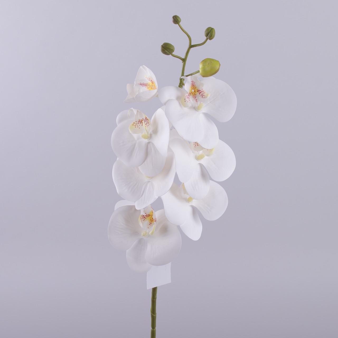 Орхидея латексная микс Белый (3849-1)